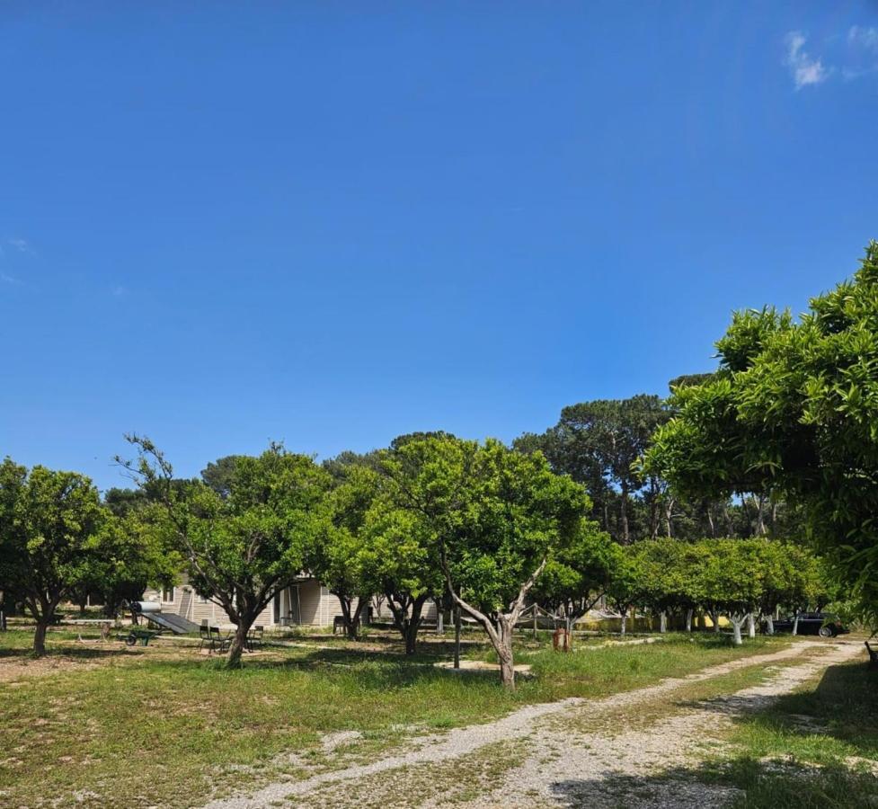 Orange Beach Camp Beldibi  Exterior photo