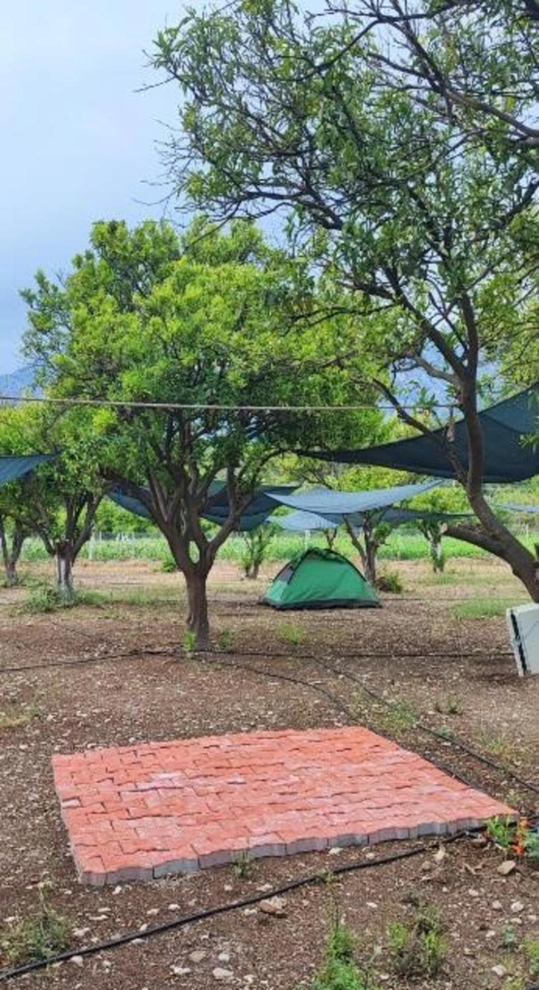 Orange Beach Camp Beldibi  Room photo